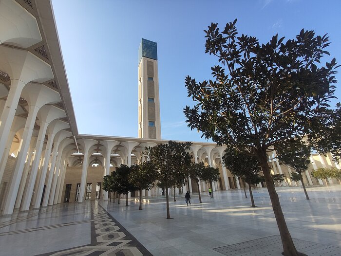 Große Moschee in Algier Algier: Große Moschee