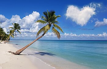 Strand auf der Insel Saona