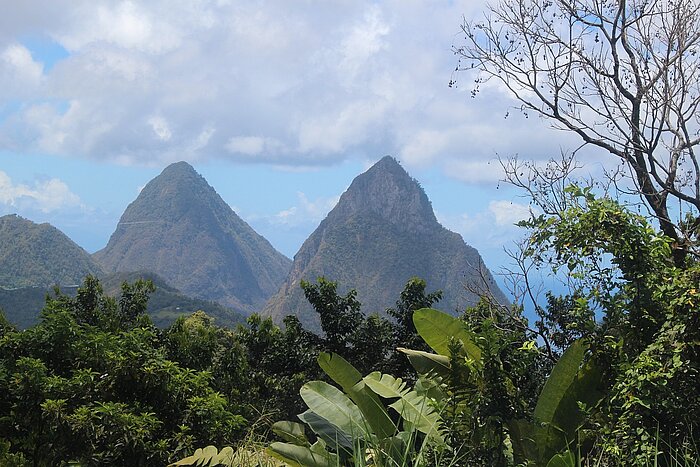 Natur vor den Pitons