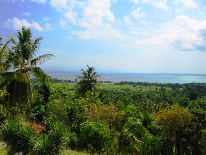 Haitianische Landschaft mit Palmen und Meer