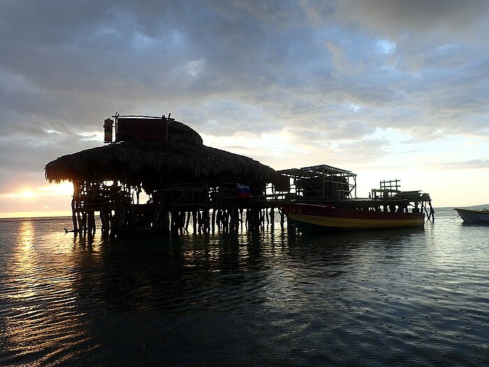 Pelican Bar in Treasure Beach