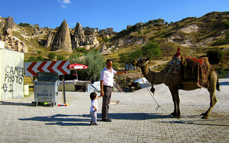 Kamel in der Türkei