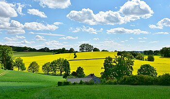 Landwirtschaft Bayern