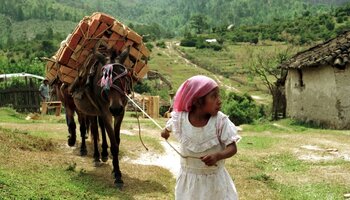 Mädchen in Honduras führt Esel