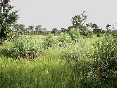 Burkina Faso