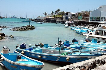 Puerto Ayoro auf Santa Cruz