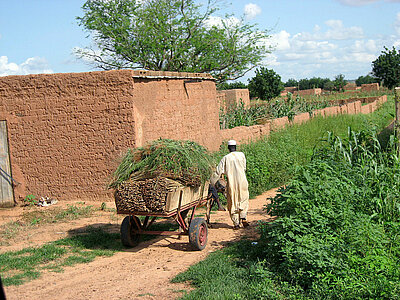 Niger Wirtschaft