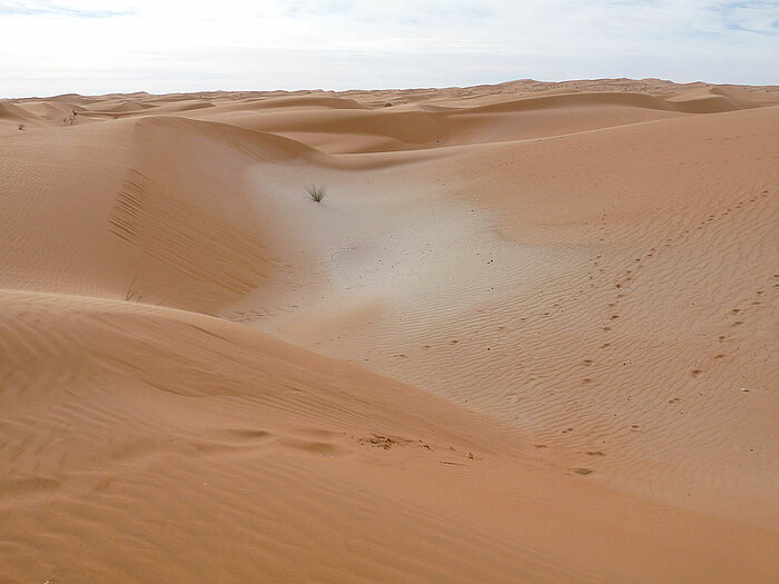 Sanddünen in Mauretanien