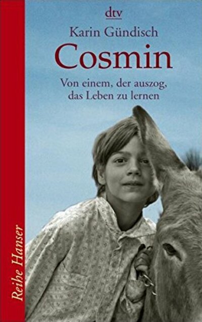 Karin Gündisch: Cosmin. Von einem der auszog, das Leben zu lernen