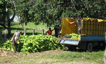 Costa Rica: Wirtschaft