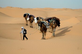 Sahara in Tunesien