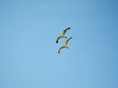 Dänemark Natur