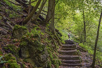 Luxemburg Landschaft