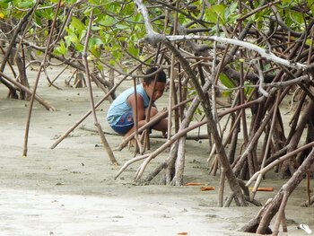 Junge in Mangroven in Panama