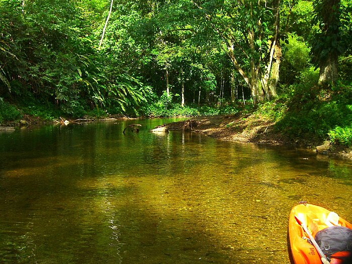 Grande Riviere, Trinidad