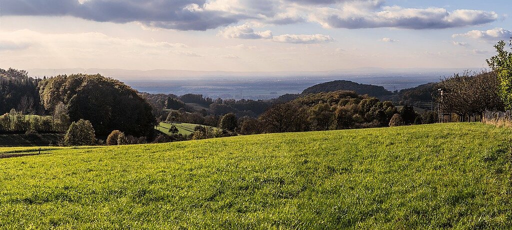 Odenwald