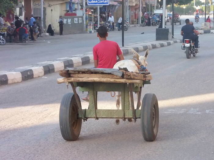 Verkehr in Ägypten mit Eselskarren