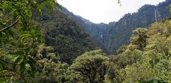Ecuador Natur