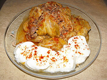 Sarma mit Joghurt aus Bulgarien