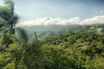 Regenwald in der Dominikanischen Republik