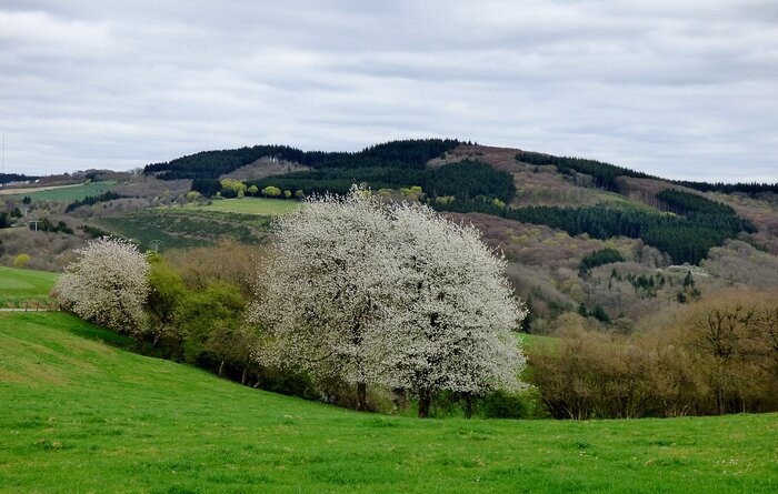 Frühling in Luxemburg