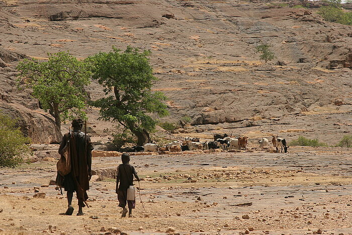 Viehhirten vom Volk der Dogon