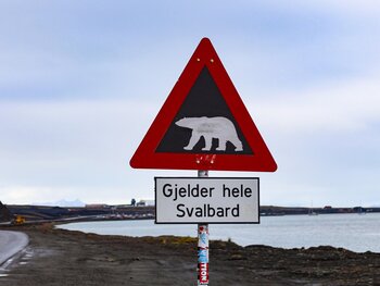 Warnung vor Eisbären auf ganz Spitzbergen