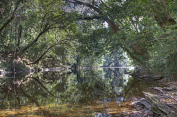 Taman Negara, Malaysia
