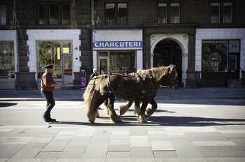 Däne mit Pferdekarren in Kopenhagen