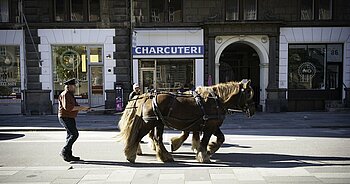 Däne mit Pferdekarren in Kopenhagen