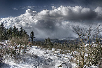 Großer Feldberg Taunus