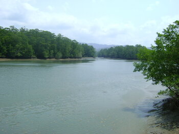 Río Chucunaque