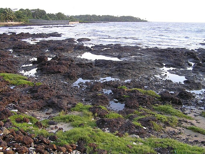 Küste bei Conakry