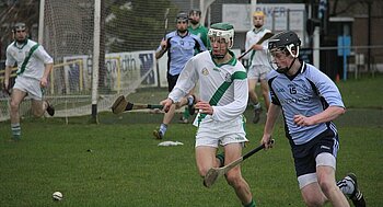 Sport in Irland: Hurling