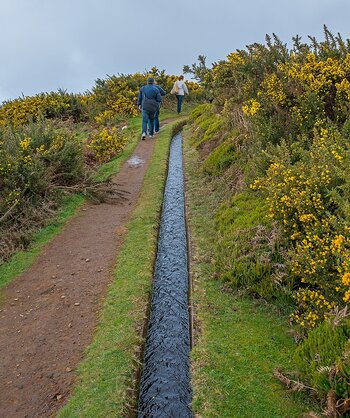 Levada