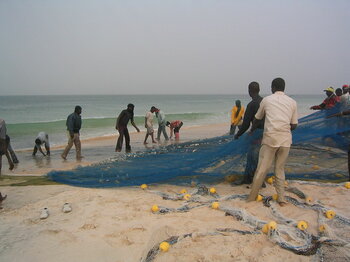 Fischfang in Nouakchott