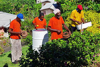 Steel Band in Grenada