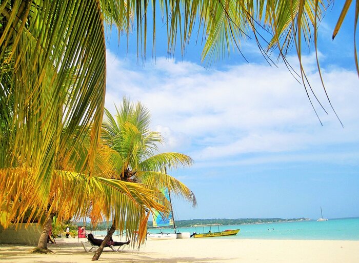 Palmen am Strand von Jamaika