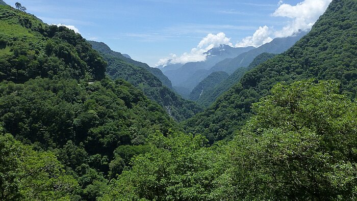 Taroko