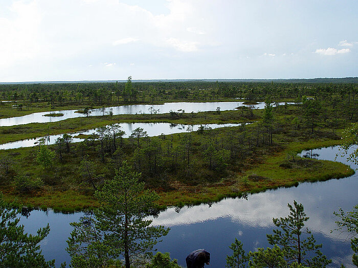 Nationalpark Ķemeri