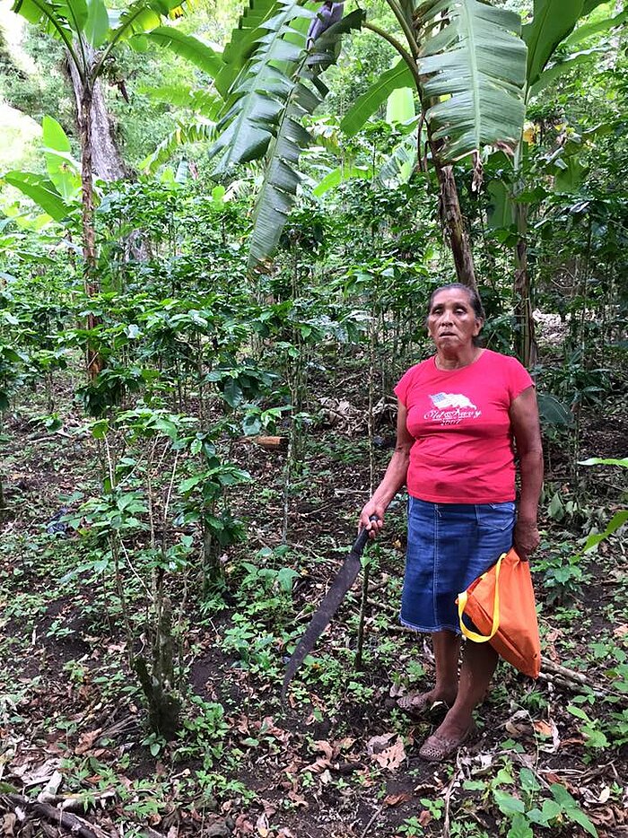 Kaffeefarmerin in Nicaragua