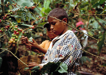 Kinderarbeit in Nicaragua