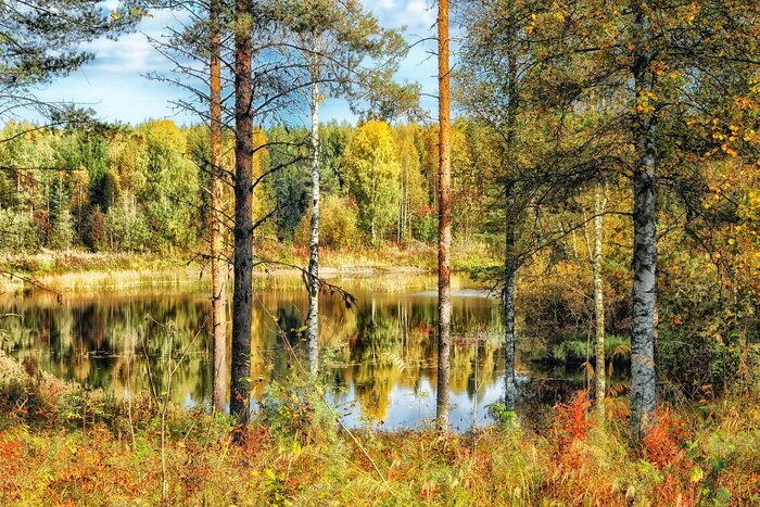 Herbstlandschaft mit See in Finnland