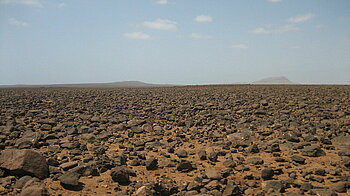 Steinwüste auf Boa Vista (Kap Verde)