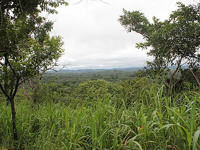 Sierra Leone