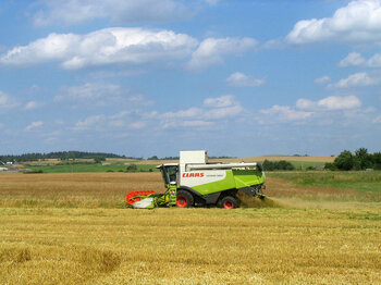 Belarus Landwirtschaft