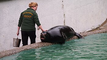  Zoo Wuppertal