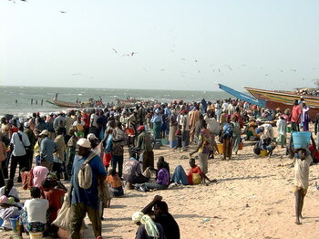 Menschen auf einem Fischmarkt in Gambia