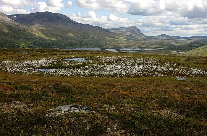 Vindelfjällen Naturreservat in Nordschweden