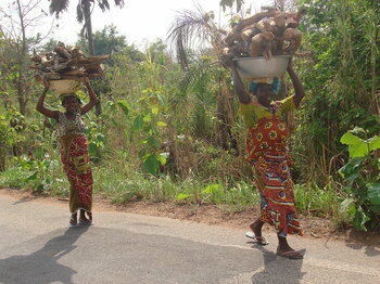 Frauen aus der Elfenbeinküste mit Holz